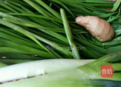 韭菜鸡蛋饺的做法图解1