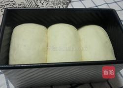 葡萄干土司的做法图解9