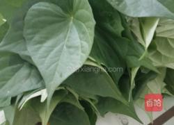 炒番薯叶的做法图解1