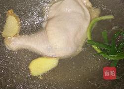 板栗烧鸡的做法图解2