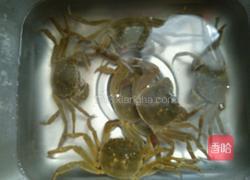 紫苏蒸毛蟹的做法图解1