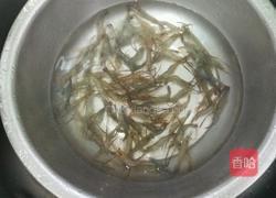 蒜辣河虾的做法图解1