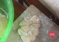 胡萝卜皮包菜肉馅的饺子的做法图解7