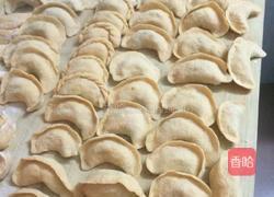 胡萝卜皮包菜肉馅的饺子的做法图解9