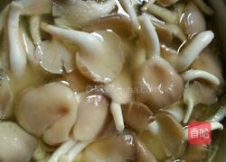 凤尾菇番鸭汤的做法图解5