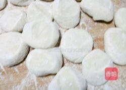 白菜猪肉水饺的做法图解3