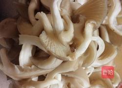 小炒平菇的做法图解2