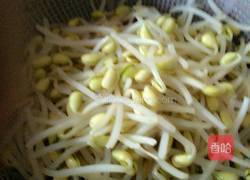 干煸黄豆芽的做法图解2