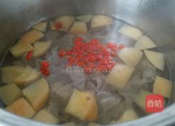 银耳枸杞苹果汤的做法图解8