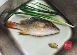 浓稠奶白海鱼汤的做法图解1