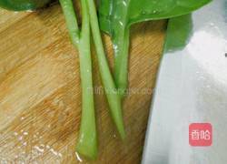 蚝油木耳菜的做法图解5