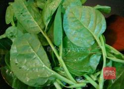 蚝油木耳菜的做法图解7