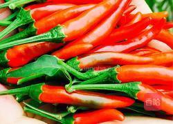 剁辣椒的做法图解2