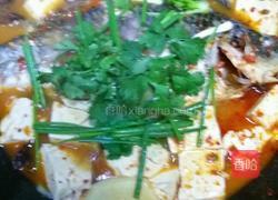 木瓜煮鲫鱼的做法图解12