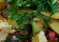 木瓜煮鲫鱼的做法图解13