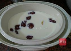 牛奶炖花胶的做法图解3