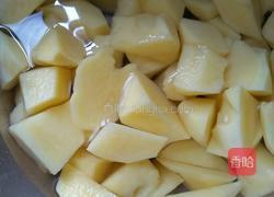 土豆烧鸡块的做法图解2