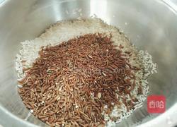 芥菜粥的做法图解1