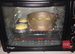 培根芝士花朵面包的做法图解13