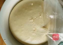 芝士火腿面包的做法图解6