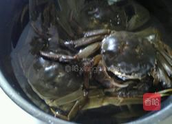 红烧大闸蟹的做法图解1