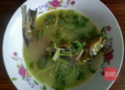 昂刺鱼汤的做法图解13
