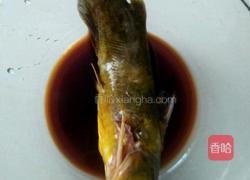 昂刺鱼汤的做法图解2