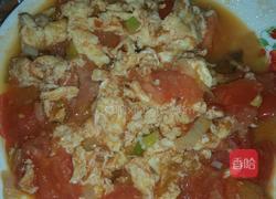 柿子炒鸡蛋的做法图解3