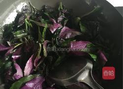炒紫背天葵的做法图解3