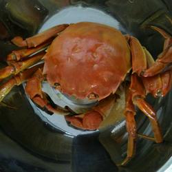 煮大闸蟹的做法[图]