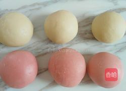 荷花酥的做法图解11