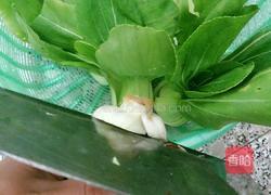 白焯青菜的做法图解3