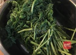 蒜蓉茼蒿的做法图解2
