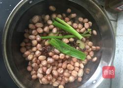 凉拌猪蹄花生米的做法图解5