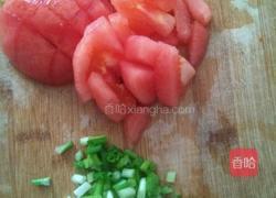 西红柿蛋炒饭的做法图解2