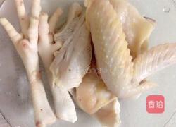 鳕鱼胶炖鸡的做法图解3