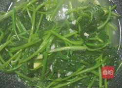 炒地瓜叶的做法图解5