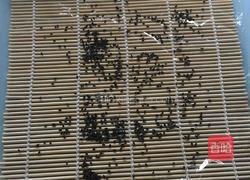 粢饭团的做法图解3