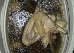 金龙胶海参炖鸡汤