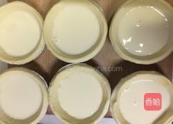 原味蛋挞的做法图解6