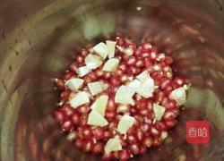 柠檬石榴汁的做法图解5