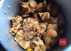 板栗焖猪脚的做法图解7