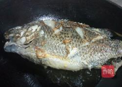 红烧罗非鱼的做法图解9