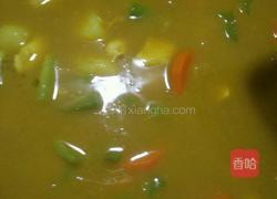 鸡胸肉咖哩的做法图解17