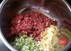 牛肉胡蘿卜餃子的做法圖解4