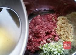 牛肉胡蘿卜餃子的做法圖解5