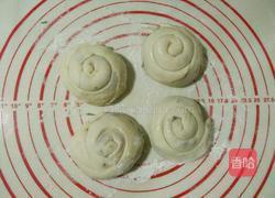 小虾烙饼的做法图解21