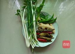 鸡杂泡椒粉条的做法图解3