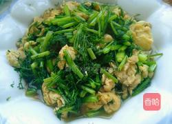 茴香炒鸡蛋的做法图解8