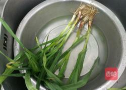 大蒜煎豆腐的做法图解1